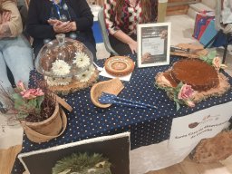 659101770_1347050504121752_5506277248579238247_n